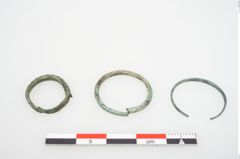 Foto von Bronzering (NHMW-PRAE-026654)